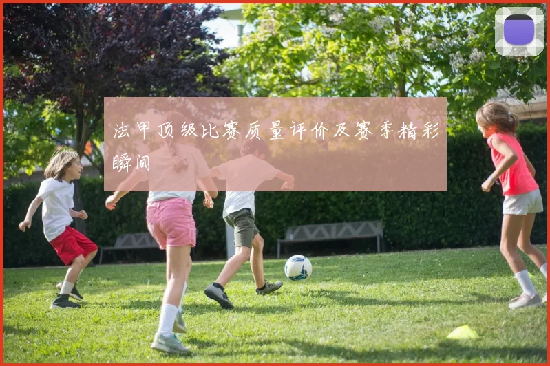 法甲顶级比赛质量评价及赛季精彩瞬间