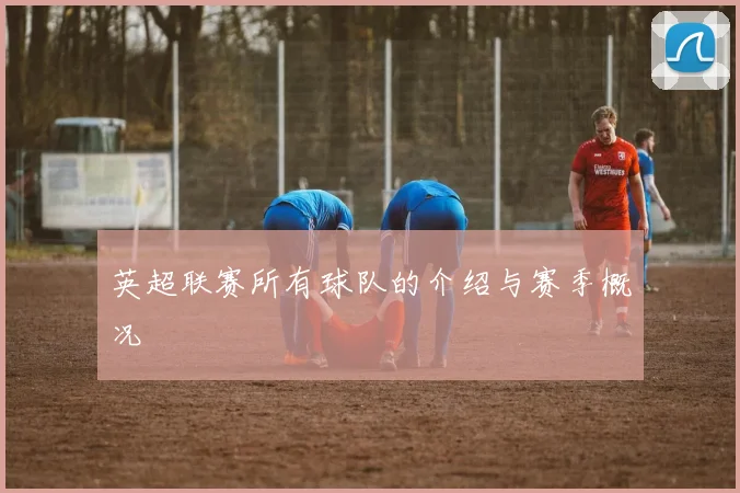 英超联赛所有球队的介绍与赛季概况